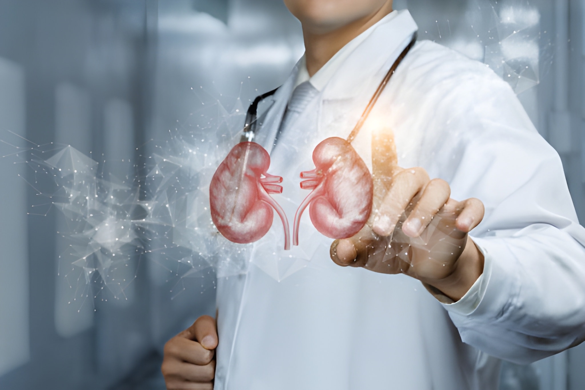 Best Nephrologist Near Me In Andheri East